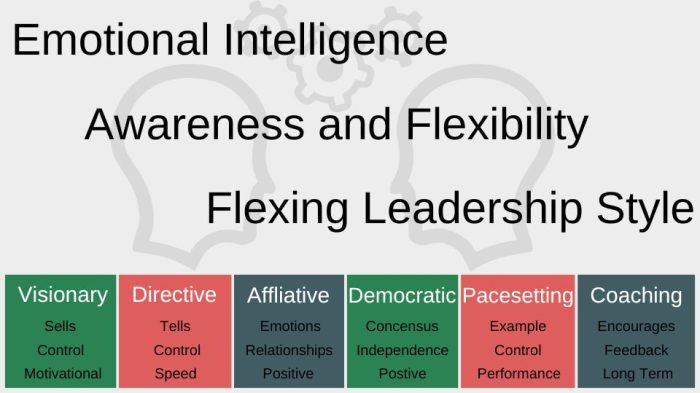 Leadership Coaching - Executive Coaching factors