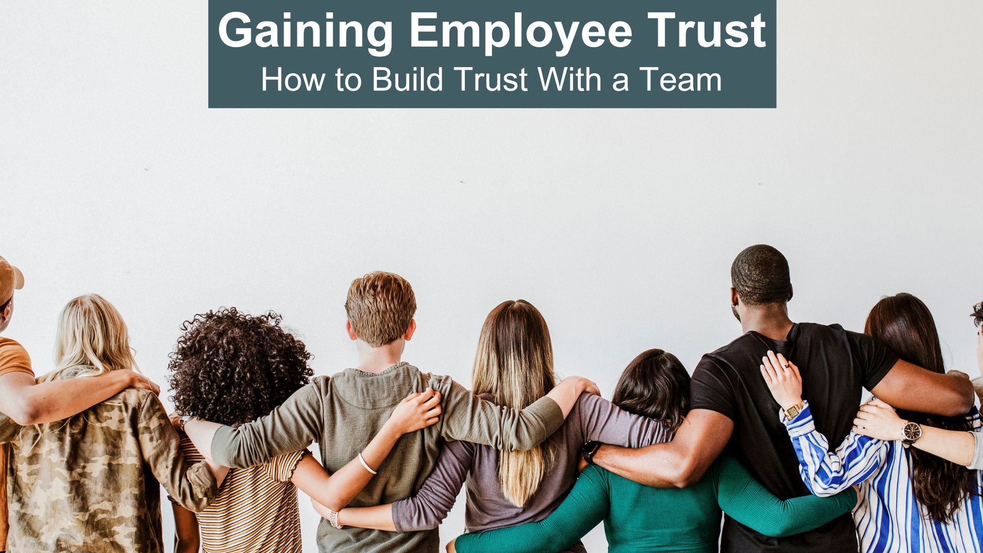 Gaining team trust How to build trust with a team