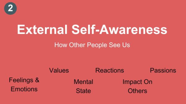 External Self-awareness
