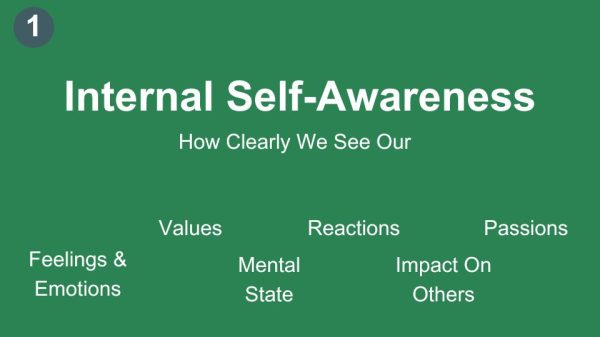 Internal Self awareness